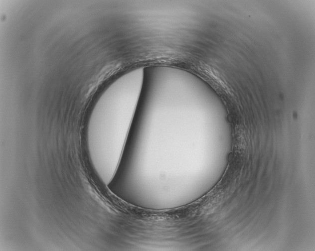 X0000086890738200704161005