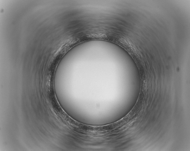 X0000086890739200704161005