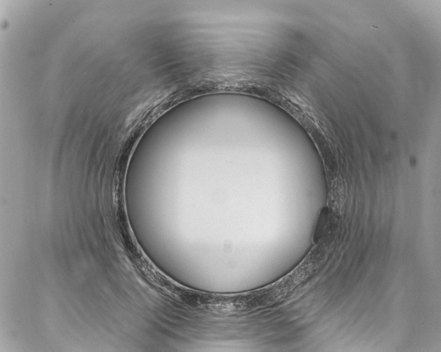 X0000086890740200704161005