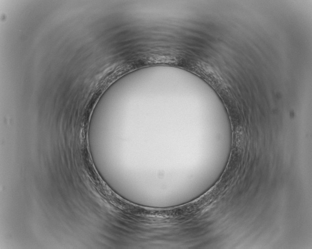 X0000086890741200704161005