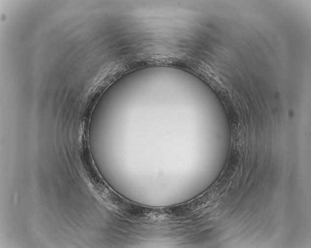 X0000086890742200704161005