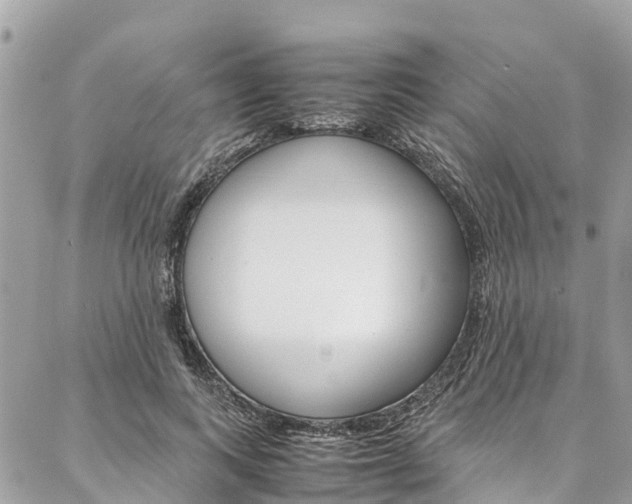 X0000086890743200704161005