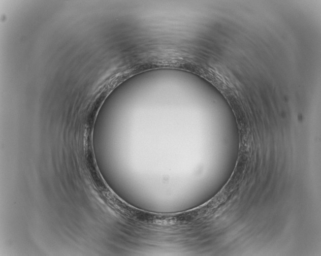 X0000086890744200704161005