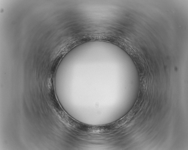 X0000086890746200704161005