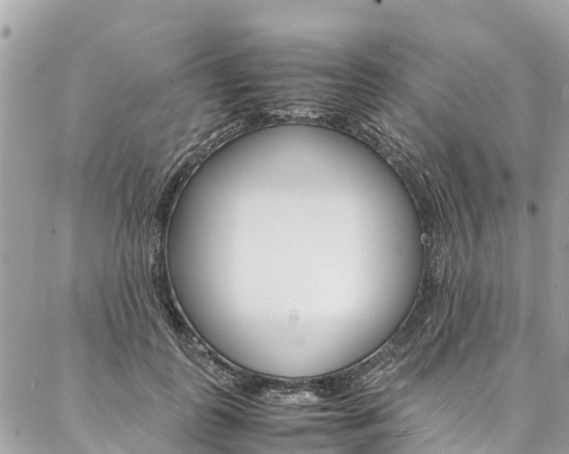 X0000086890747200704161005