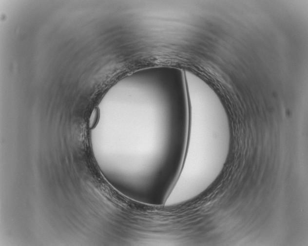 X0000086890748200704161005