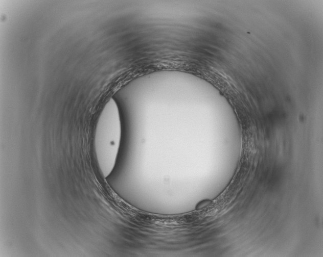 X0000086890749200704161005