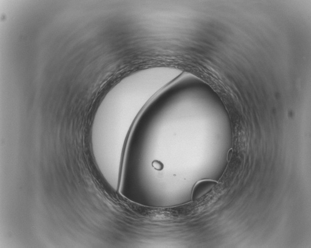 X0000086890750200704161005