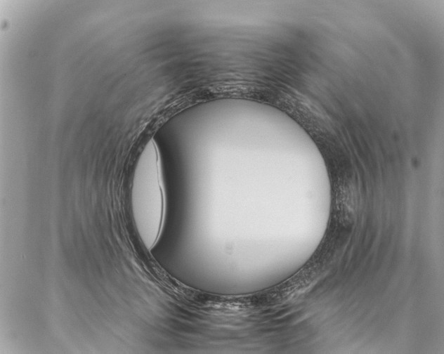 X0000086890751200704161005