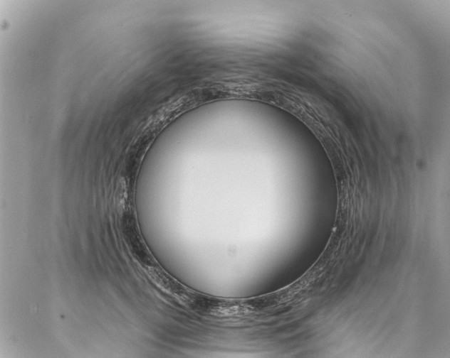 X0000086890752200704161005