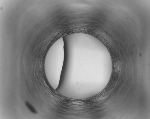 X0000086890753200704161005