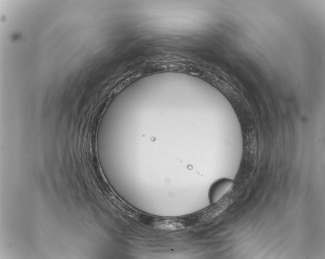 X0000086890754200704161005