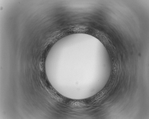 X0000086890755200704161005