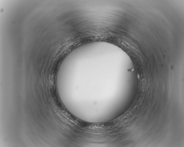 X0000086890756200704161005