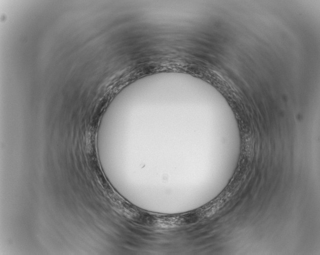 X0000086890757200704161005