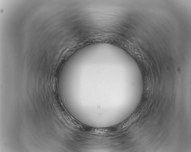 X0000086890758200704161005