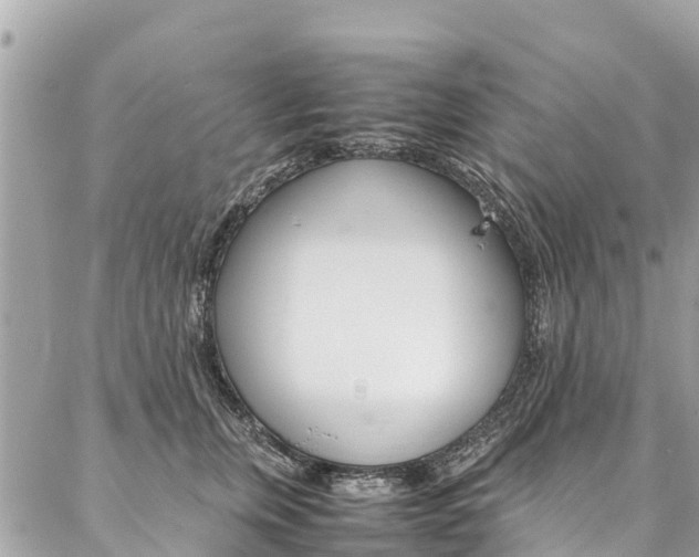 X0000086890759200704161005