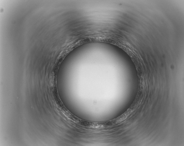 X0000086890760200704161005