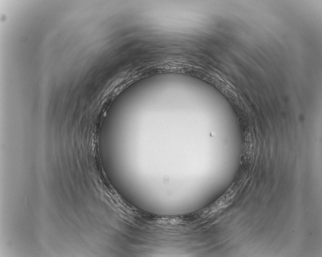 X0000086890762200704161005