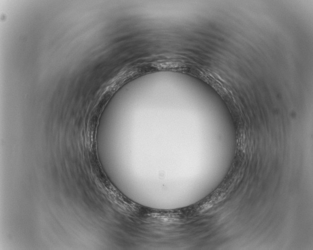 X0000086890763200704161005