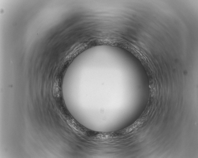 X0000086890764200704161005