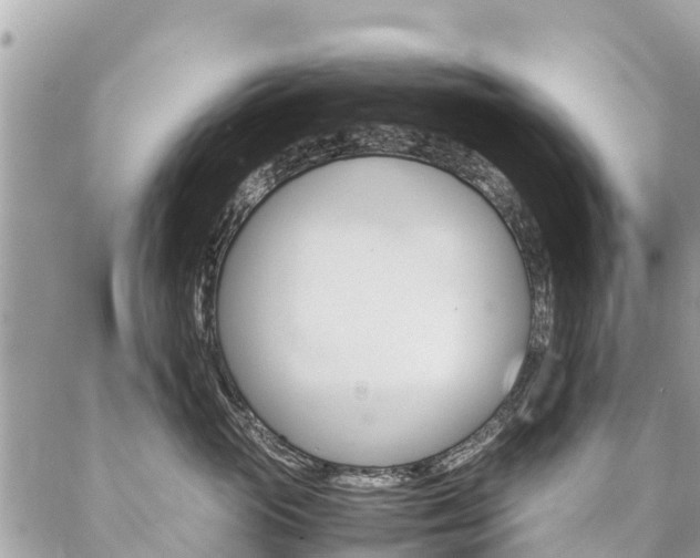 X0000086890765200704161005