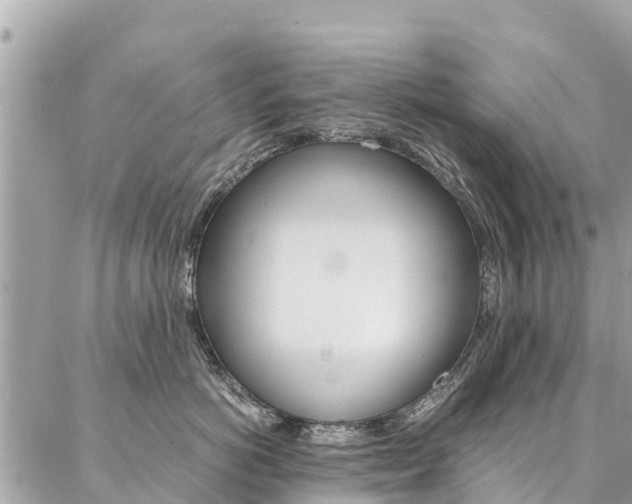 X0000086890766200704161005