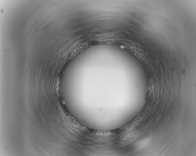 X0000086890767200704161005