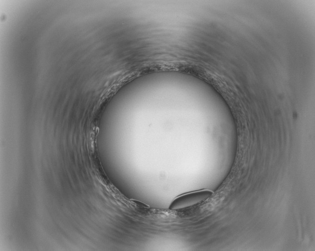 X0000086890768200704161005