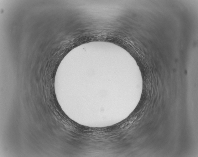 X0000086890769200704161005