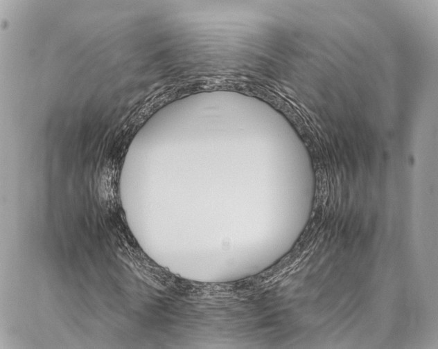 X0000086890770200704161005