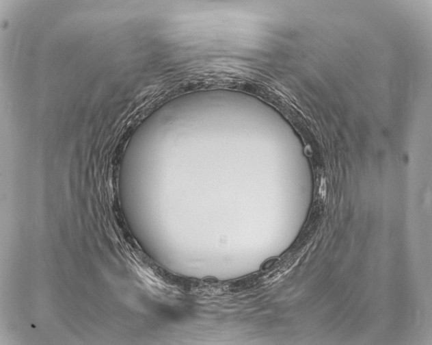 X0000086890771200704161005