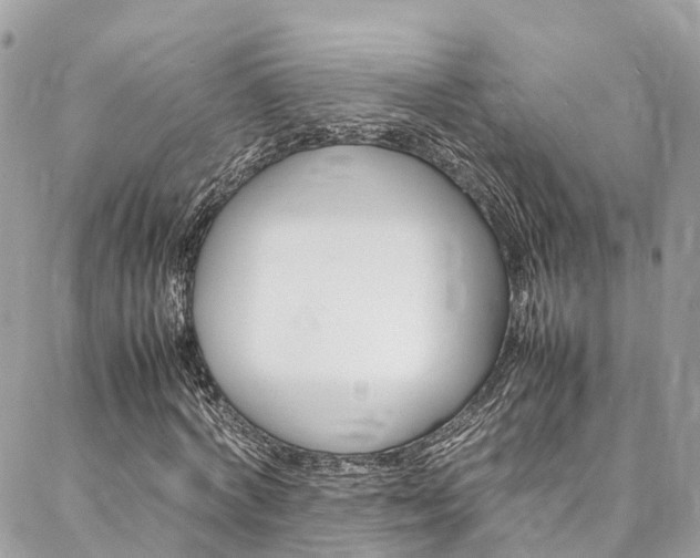 X0000086890772200704161005