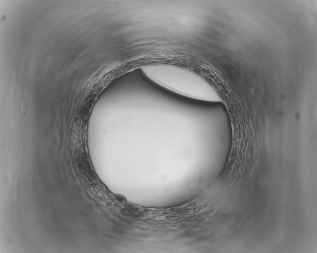 X0000086890773200704161005