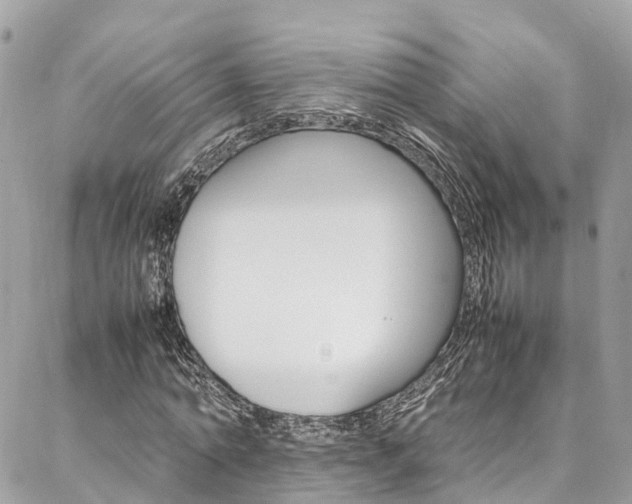 X0000086890774200704161005