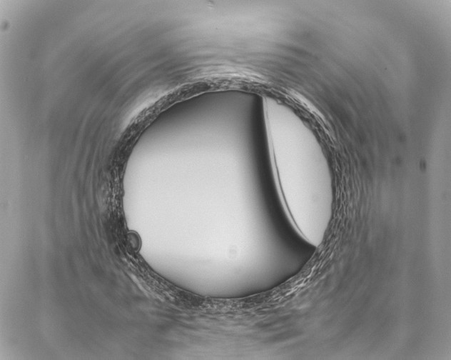 X0000086890775200704161005