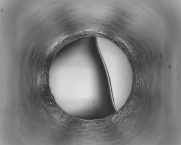 X0000086890776200704161005