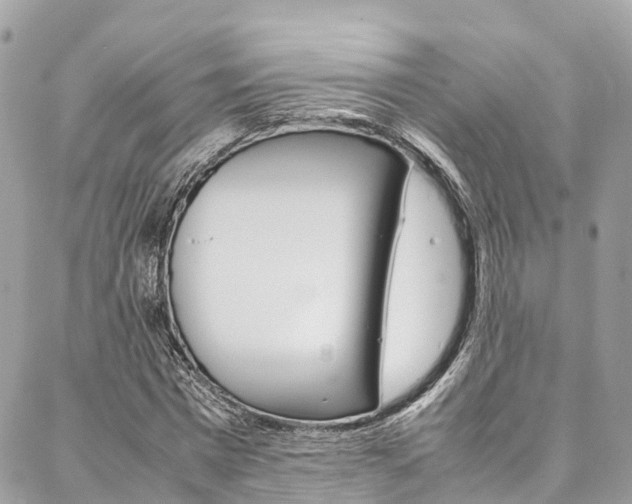 X0000086890777200704161005