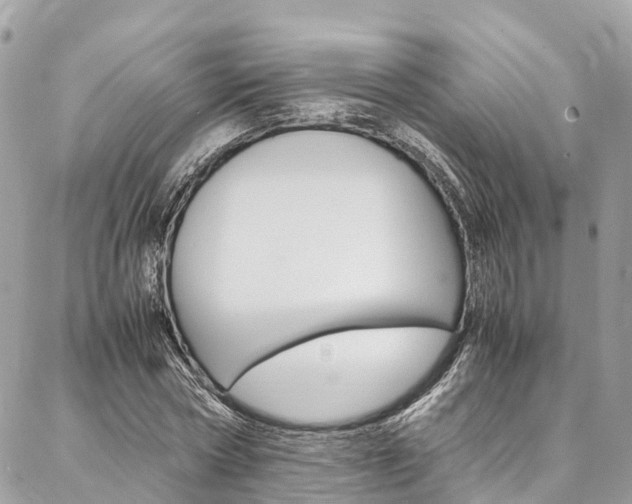 X0000086890778200704161005