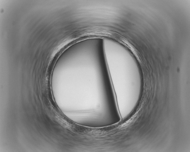 X0000086890779200704161004