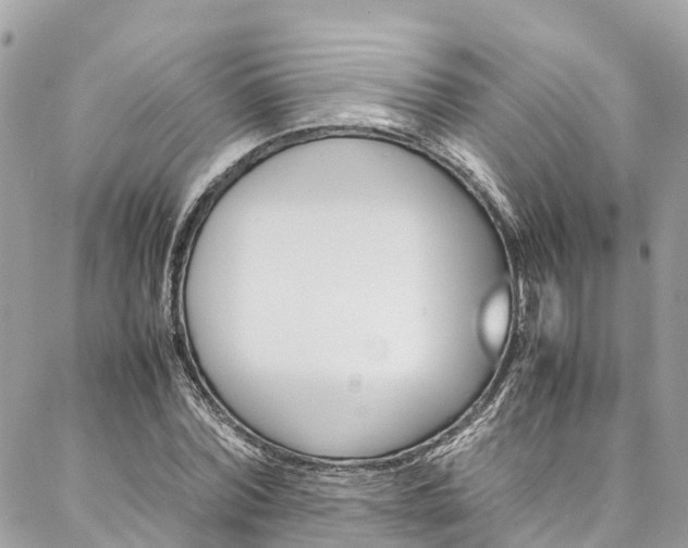 X0000086890780200704161004