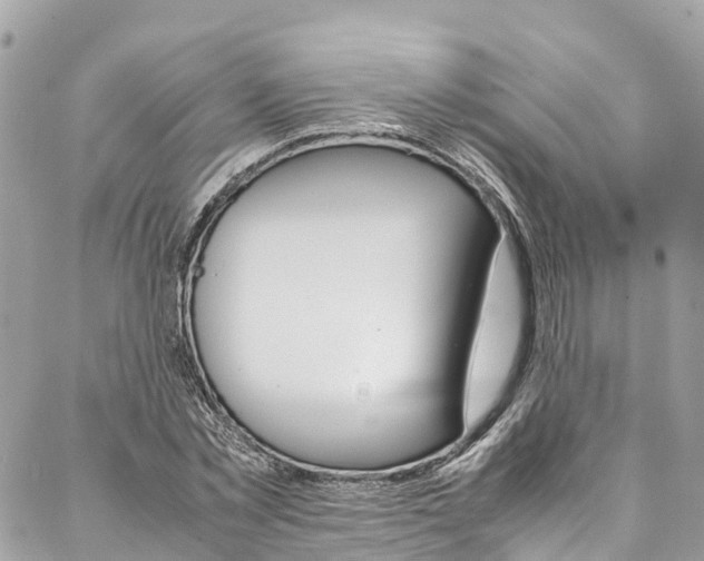 X0000086890781200704161004