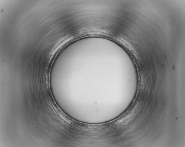 X0000086890782200704161004