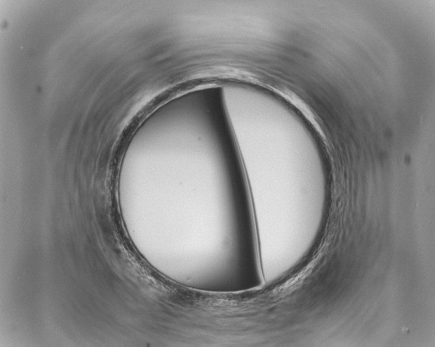 X0000086890783200704161004