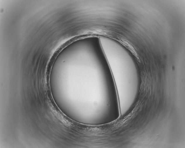 X0000086890784200704161004