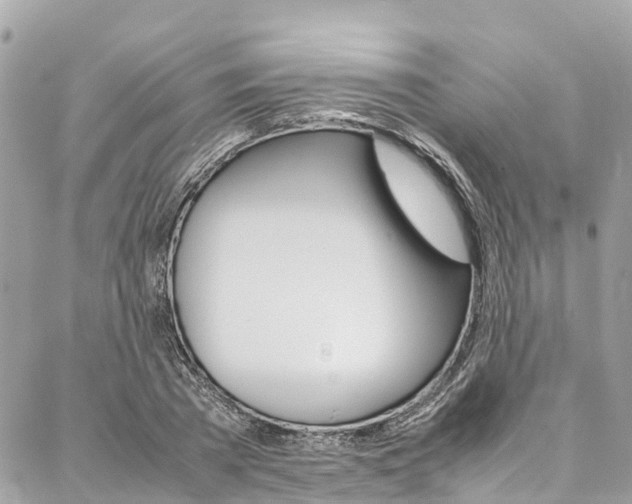 X0000086890785200704161004