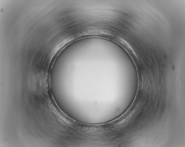 X0000086890786200704161004