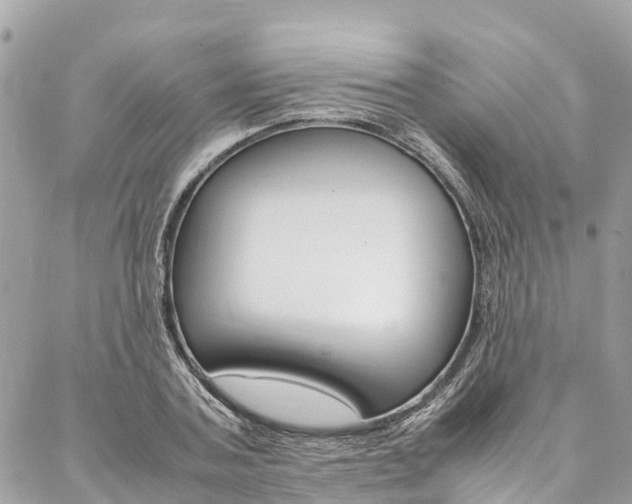 X0000086890787200704161004