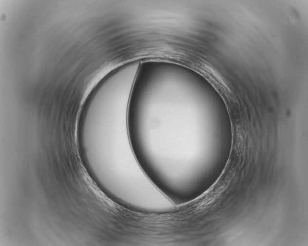 X0000086890788200704161004