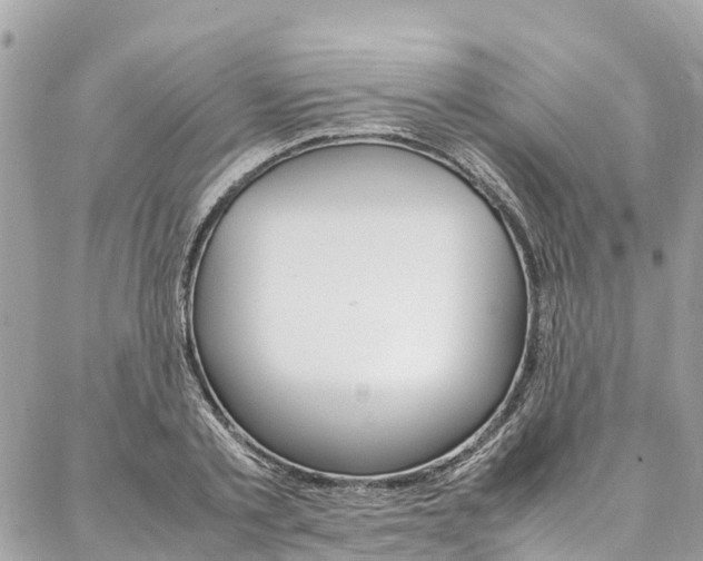 X0000086890789200704161004